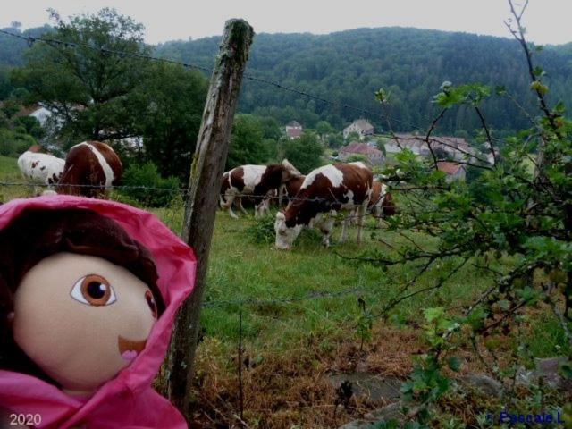 Gite Rural Les Maires D'Avaux Saint-Bresson Zewnętrze zdjęcie