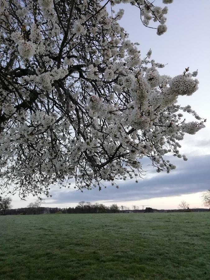 Gite Rural Les Maires D'Avaux Saint-Bresson Zewnętrze zdjęcie